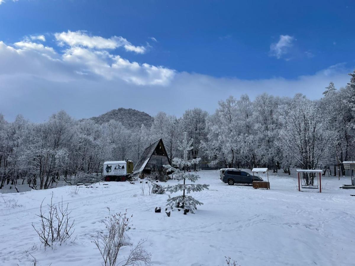 Glamping Wolf Mount Villa Margahovit Ngoại thất bức ảnh